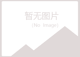 白银平川小珍工程有限公司